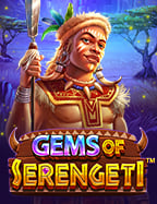 Wild West สล็อต: ทดลองเล่นสนุกกับโลกตะวันตก